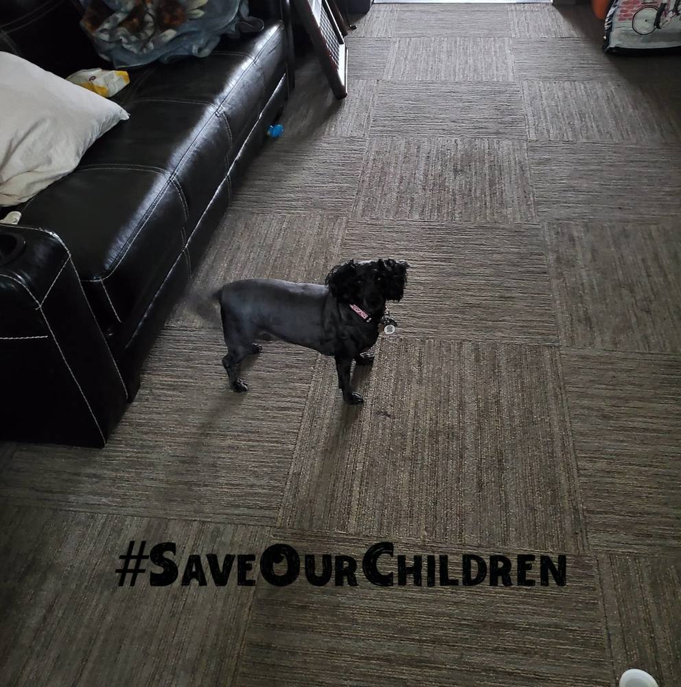 Meet your Posher, Nessa